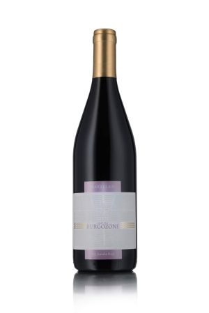 Chateau Burgozone MARSELAN