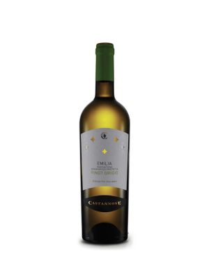 PINOT GRIGIO EMILIA IGP